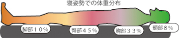 寝たときの圧力分布
